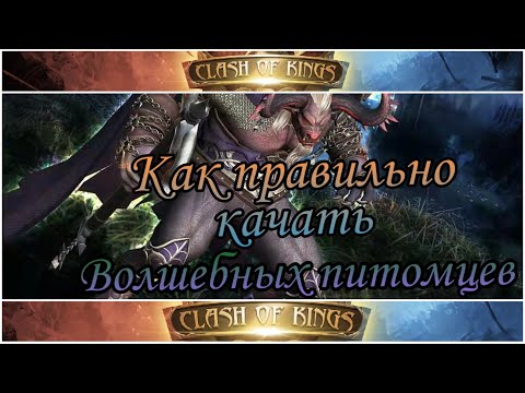 Видео: Clash of Kings узнай как быстро поднять проценты за счет питомцев! Обзор нового героя Афина.