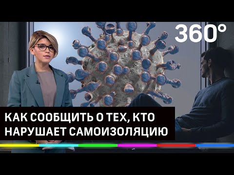 Самоизоляция из-за COVID-19 ещё действует. Куда жаловаться на нарушителей режима?