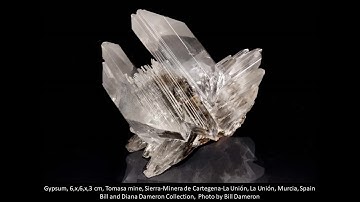 2020 Virtual Display Case: Bill and Diana Dameron - New to You