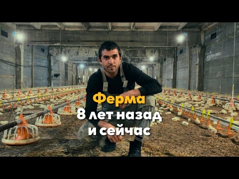Технологии на птицеферме.  Умная ферма