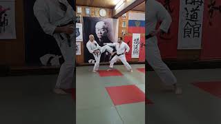 Budo Academy 52 / Moscow Kodokan / 23 December 2023 / PRACTICE OF HARD TECHNIQUES of Karate