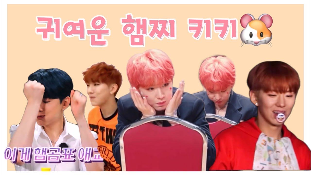 [몬스타엑스/기현] 귀여운 햄찌 키키🐹