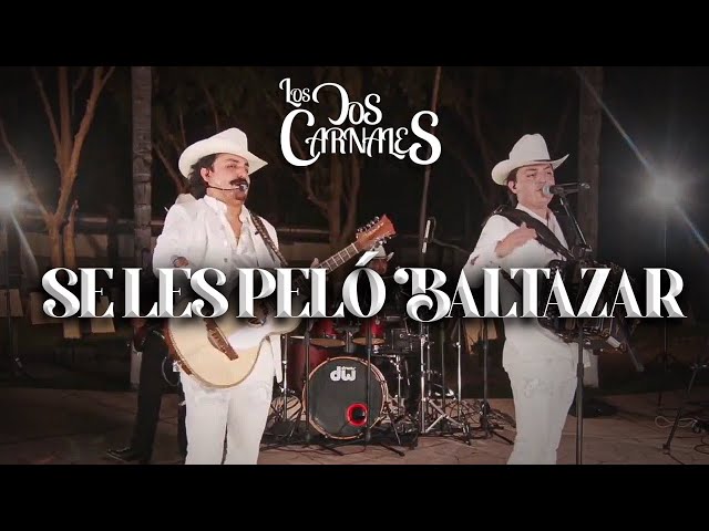 Los Dos Carnales - Se Les Peló Baltazar (En Vivo) class=