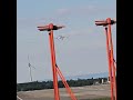 Avião pequeno pousando #viral #aviation #travel #fyn #fyp