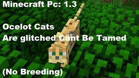 Minecraft Pc: 1.3 Are Ocelot Cats Are glitched? (FIXED LINK BELOW!)