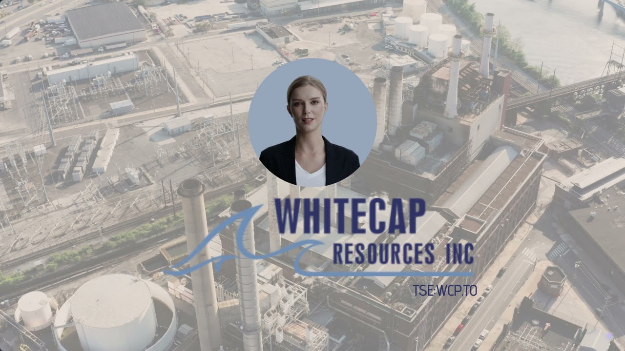 Quarterly Financial Highlights: Key Insights from Our Investment Portfolio