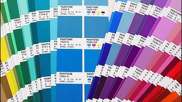 Wat zijn Pantone-kleuren?: De gids voor kleurconsistentie in ontwerp