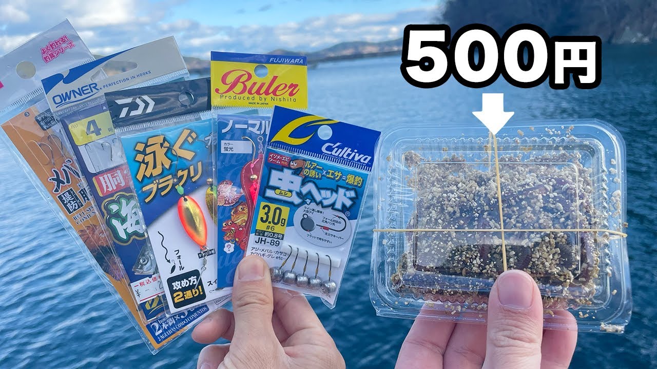【冬の海】500円分のアオイソメで釣りをしたら何種類釣れるの？