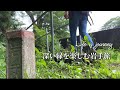 【女子一人旅】まるでジブリの森のよう🌲緑楽しむ癒し旅|岩手県内陸を巡ります