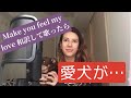 Make you feel my Loveを日本語でカバー