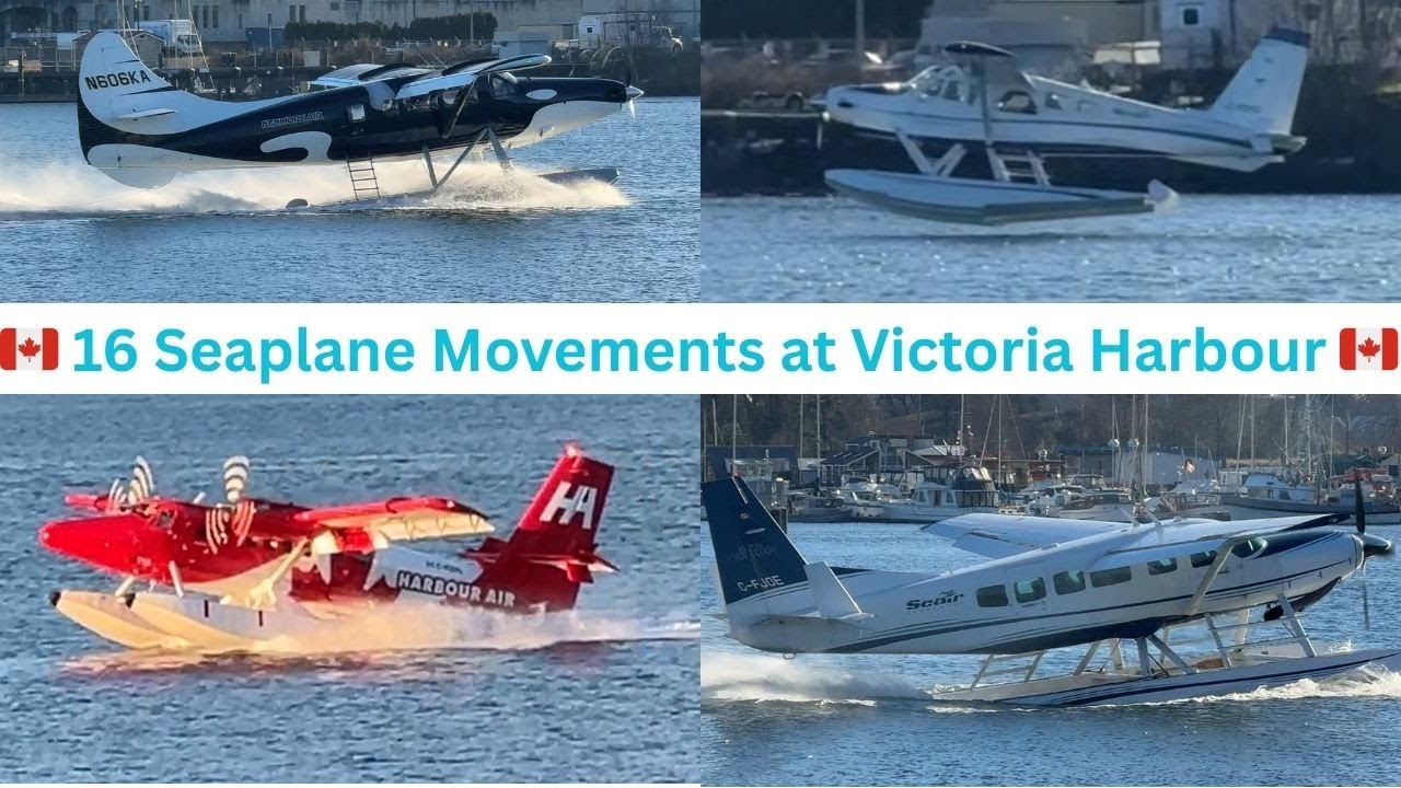 16 Seaplanes in 3 Hours | Victoria Harbour Winter Action