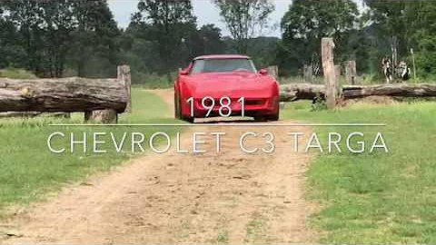Chevrolet Corvette C3 Targa 1981