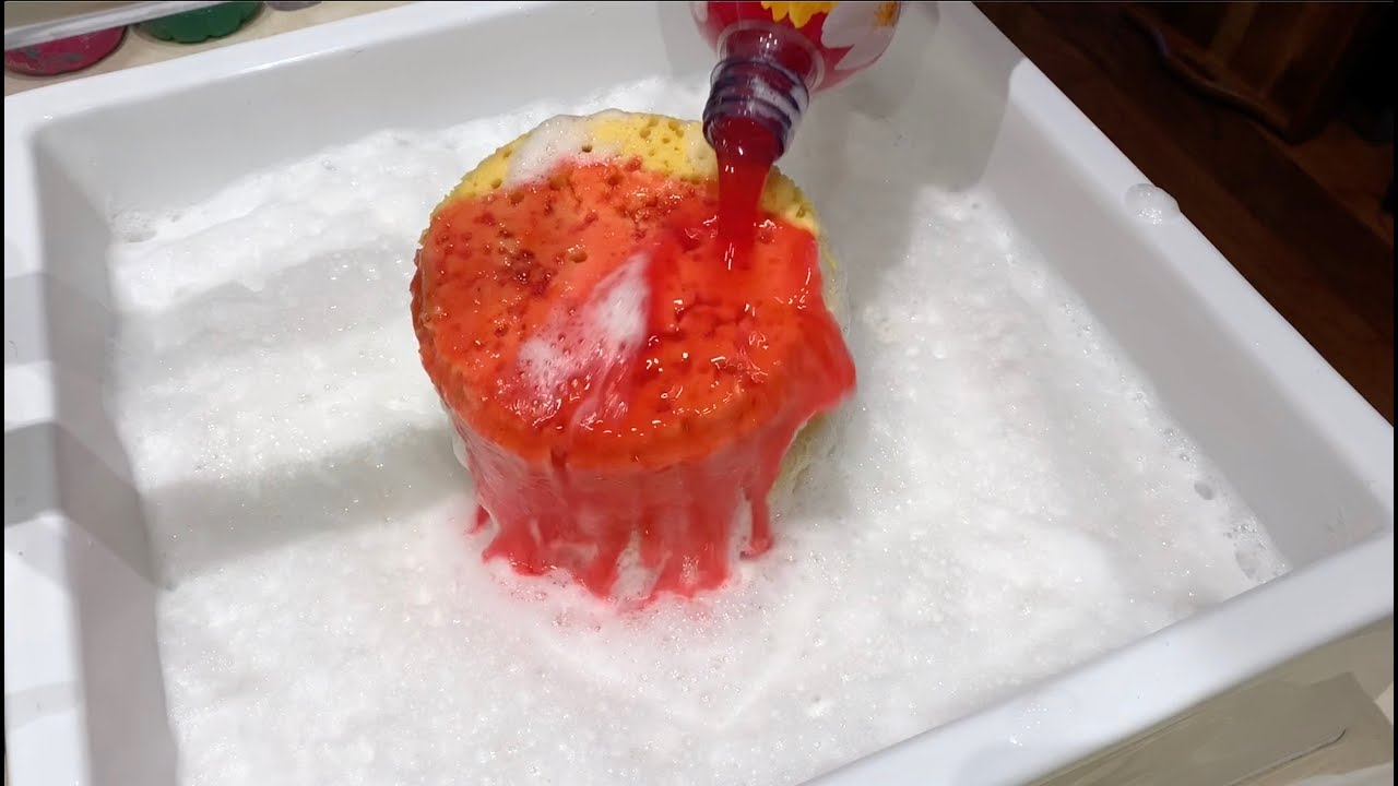 TODAY IS A GOOD DAY!: 🌲+ 💐 Pinalen + 3 bottles of recycled rinse water - sponge ASMR