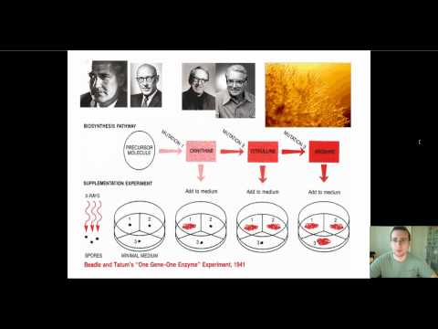 Central Dogma Research