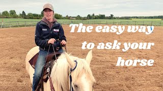 Get a Soft, Quick Backup from your Barrel Horse screenshot 5