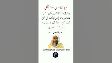 الآية (61)من سورة النحل// القارئ الشيخ محمد أيوب رحمه الله.