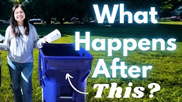 Where Your Recycling Actually Goes (It’s Not Where You Think)