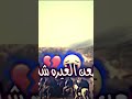 اكتب يا محرم مرتضى حرب 