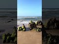 Mar agitado