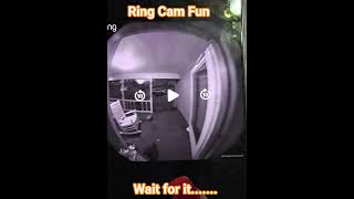 RACCOONS #entertaininganimals #catsofyoutube #subscribe #funnyanimals #cat