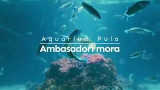 Aquarium Pula