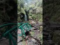 Jibhi Waterfall Himachal Youtubeshorts Shorts Jibhi Waterfall Himachal Youtubeshorts Shorts