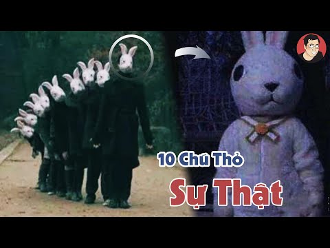 Video: Thỏ có nghĩa là gì trong hoàng đạo Trung Quốc?