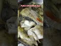 Как правильно жарить рыбу #наприродевкоми #какпожаритьрыбу #щука