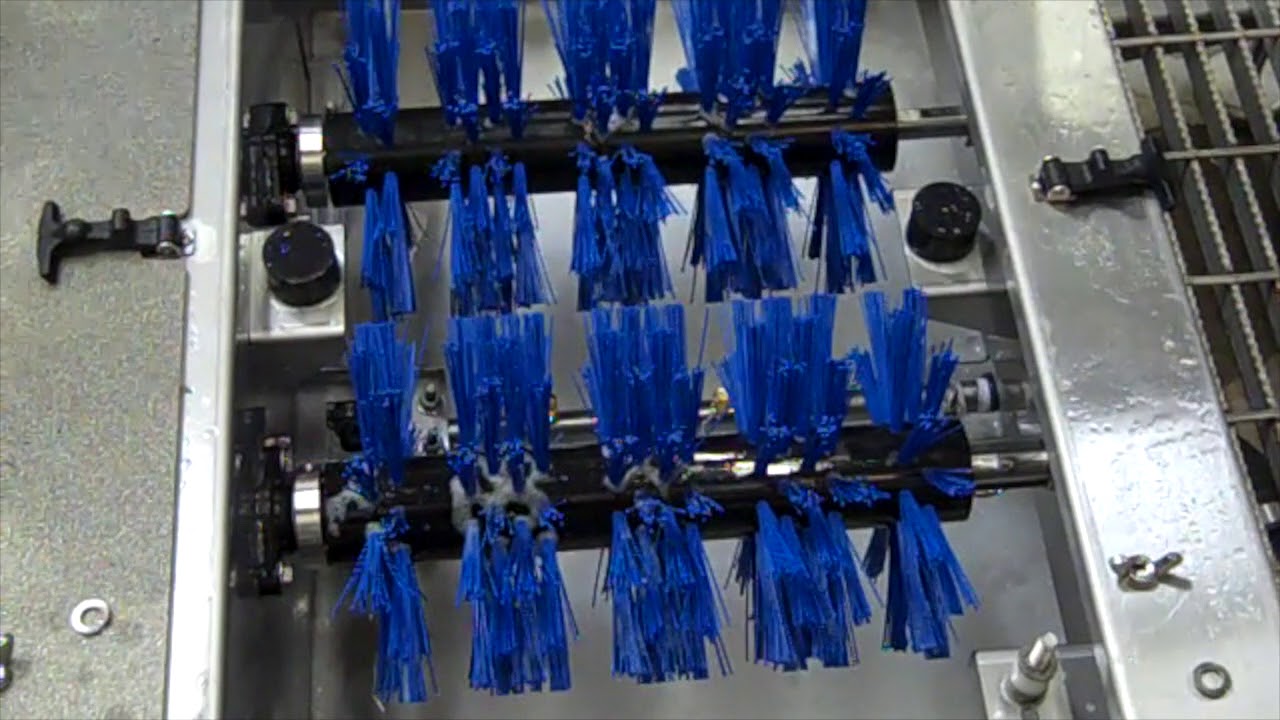 automatic boot scrubber