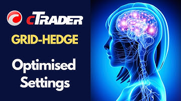 cTrader Grid-Hedge System Optimisation