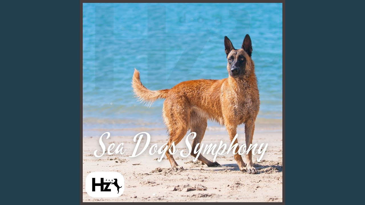 Mellow Mutts: Water of Ocean