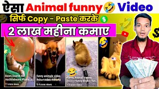 Animals Funny Video Kaha Se Laye?| How To Download Animals Funny Video Clips? | Cats And Dogs Video