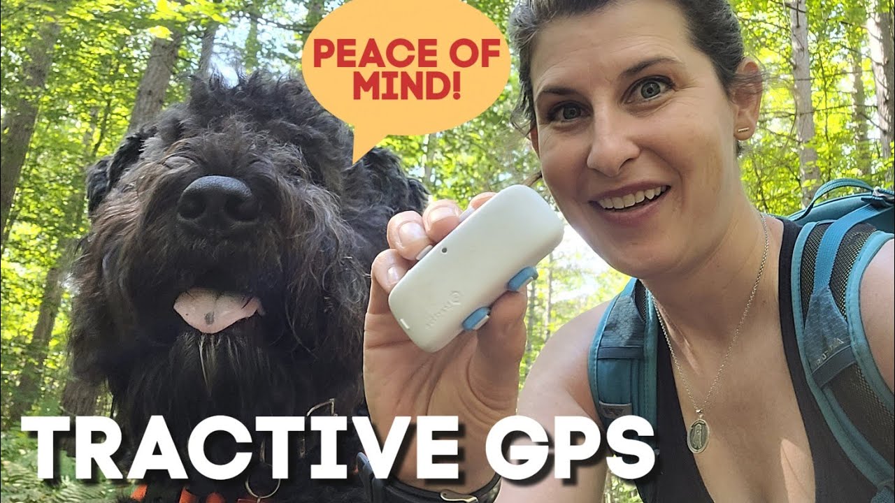 Tractive GPS Tracker - Alle Funktionen & Features im Test