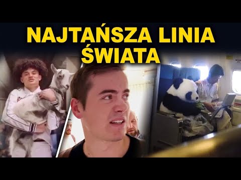 Wideo: Kto jest najtańszą linią lotniczą?