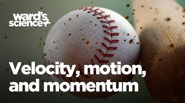 How to Use a Ballistic Pendulum to Study Velocity, Momentum, and Motion