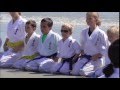 Kyokushin-kan Karate