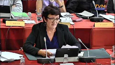 Intervention de Michelle Bonneau en conseil munici...