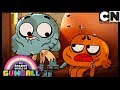 Gumball | Gumball and Darwin Fend For Themselves | Cartoon Network