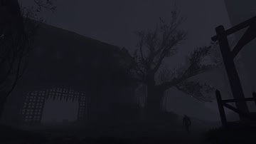 [W3EE Redux Next Gen v1.38e] Scenes of combat 3 (katakan, werewolf, Black Pearl)