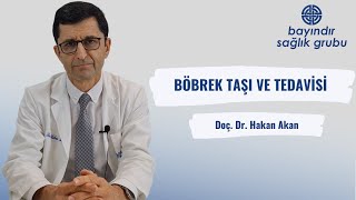 Böbrek Taşı Ve Tedavisi