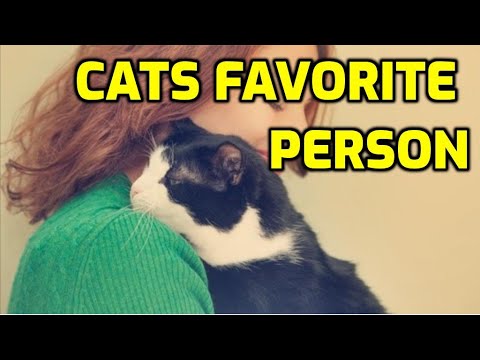Why Do Cats Like Some Humans More Than Others?