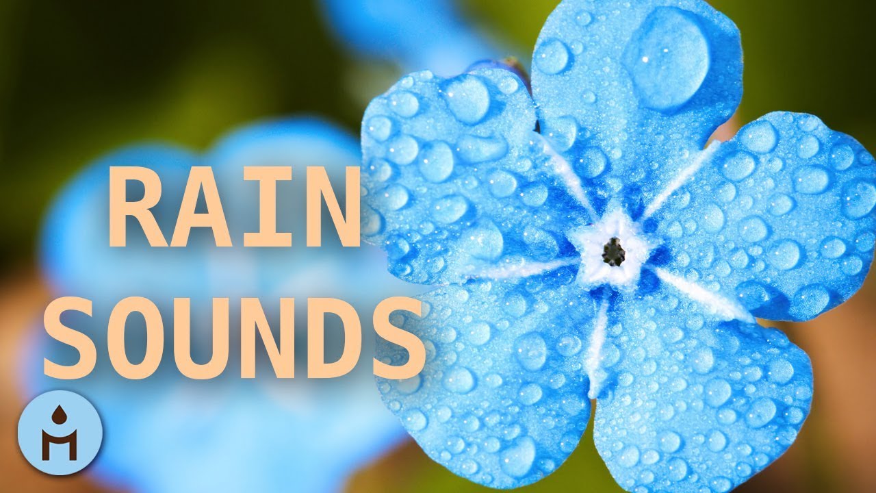 Rain sounds 10 hours the sound of rain meditation autogenic training