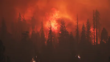 Mountain Strong: Surviving the Creek Fire | FULL DOCUMENTARY