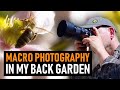 Photographing BEES, JUMPING SPIDERS & More | Macro Photography Vlog