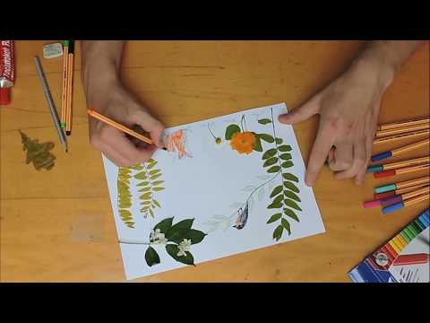 Videó: Hogyan Rajzoljunk Növényeket