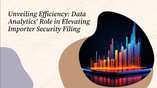 Unveiling Efficiency: Data Analytics' Role in Elevating Importer Security Filing