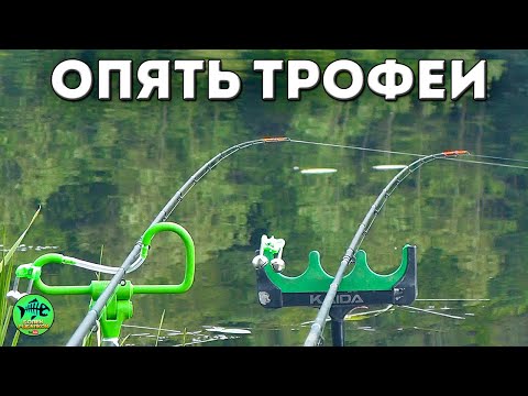 ОПЯТЬ СЛАБОНЕРВНЫМ НЕ СМОТРЕТЬ🐟🐟🐟. РЫБАЛКА С НОЧЕВКОЙ. Рыбалка на фидер