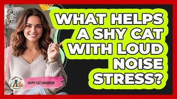 What Helps A Shy Cat With Loud Noise Stress? - Happy Cat Handbook