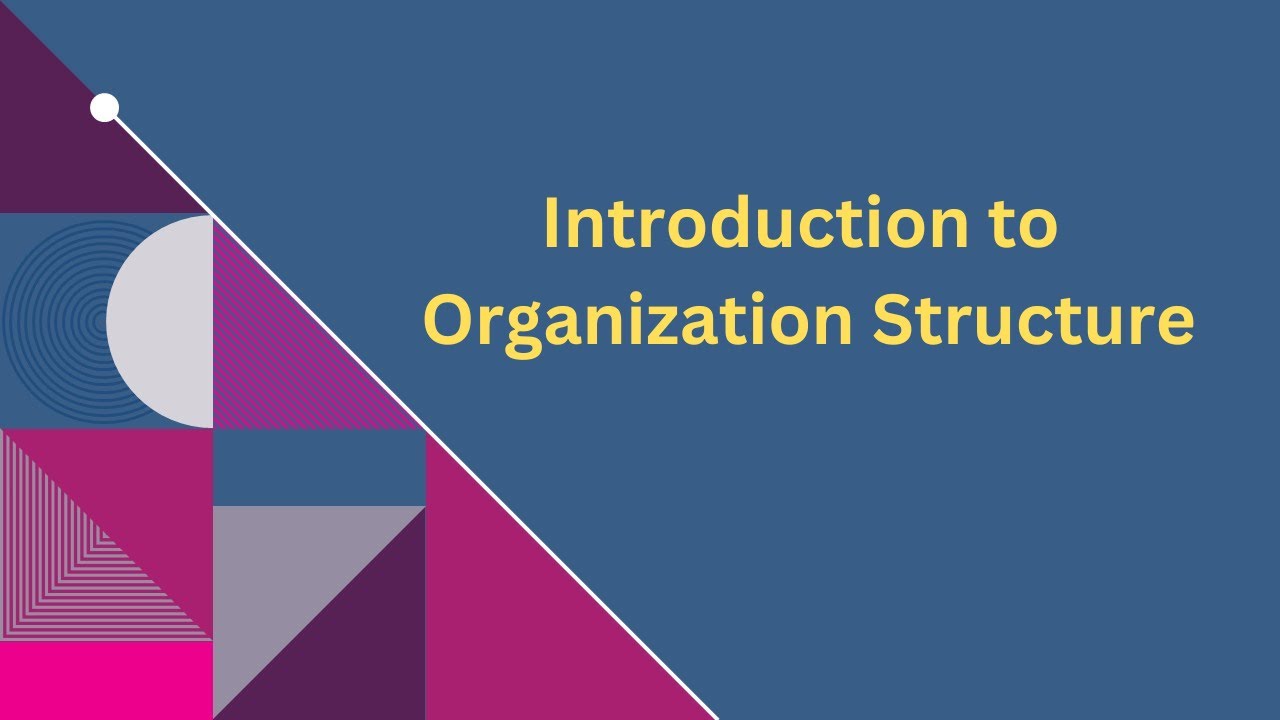 Introduction to Organization structure | SAP MM - DAY 1 - YouTube