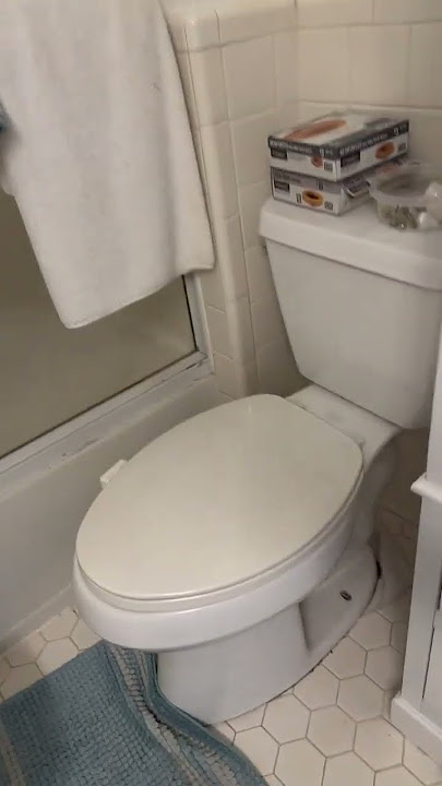 Two-Toilet Bathroom || ViralHog
